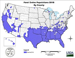 Wild Hogs USA Distribution Map