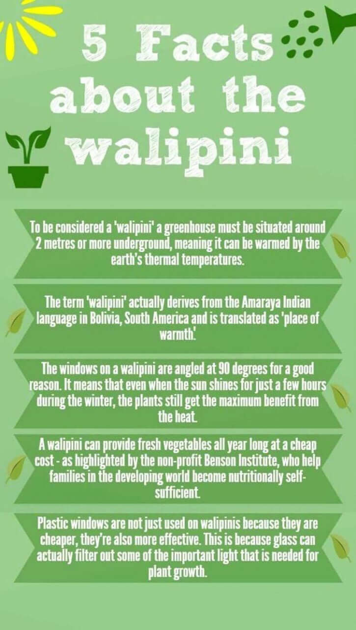 300 dollar underground greenhouse walipini infographic