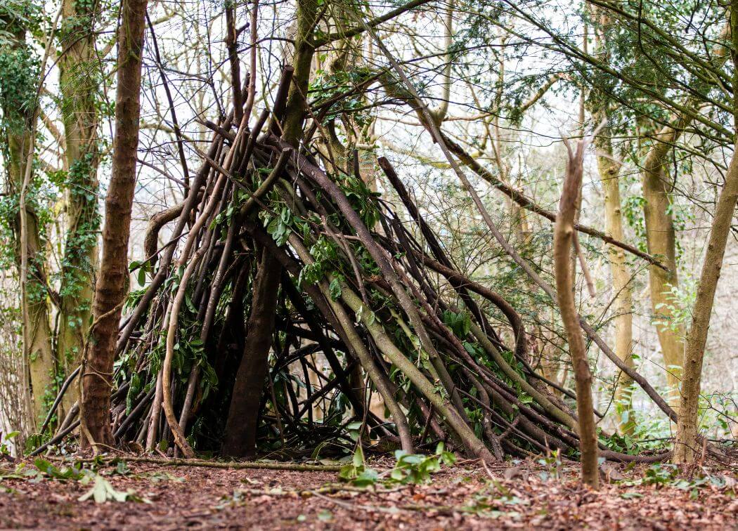 How Do You Build a Shelter in the Woods for Beginners