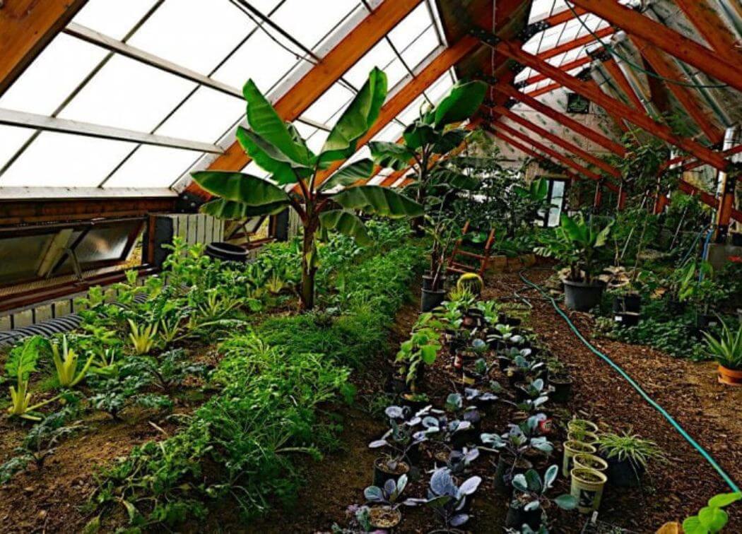 Underground Greenhouse “Walipini” That Grows Food Year Round